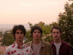 Wallows