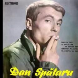 Dan Spataru