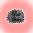 Filter Clitors